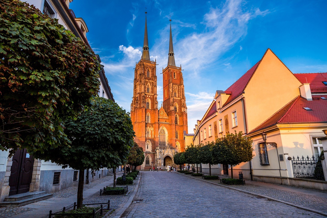 katedra wrocław
