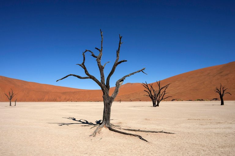 pustynia namib