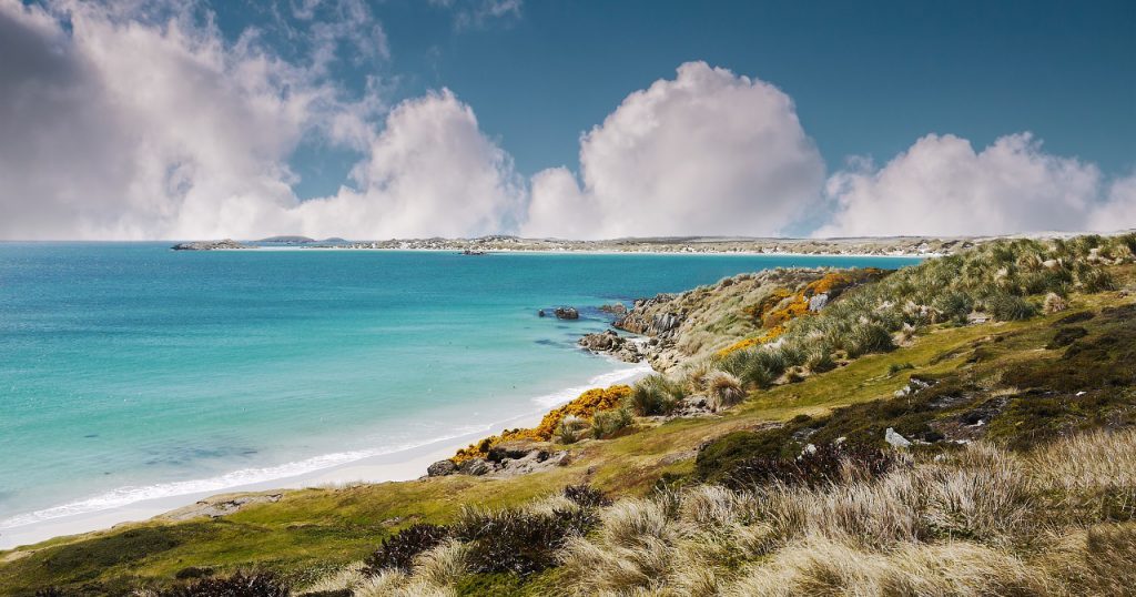 Falklandy – Podróż Na Południowy Atlantyk – Przewodnik Turystyczny