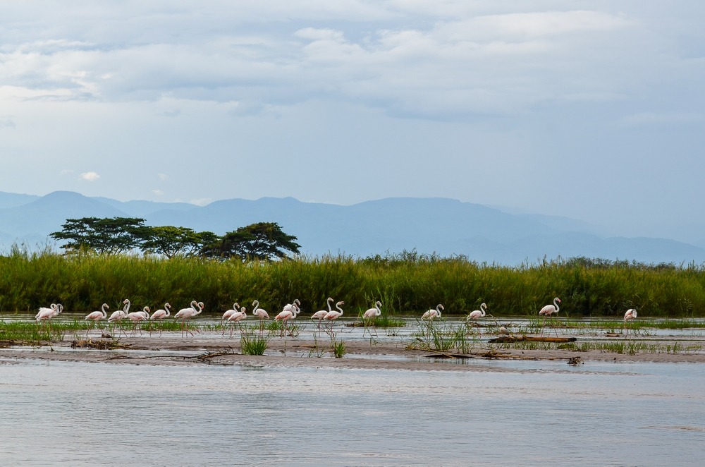 Parc National de la Kibira