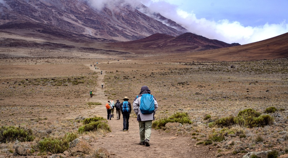 Kilimandżaro wyprawa